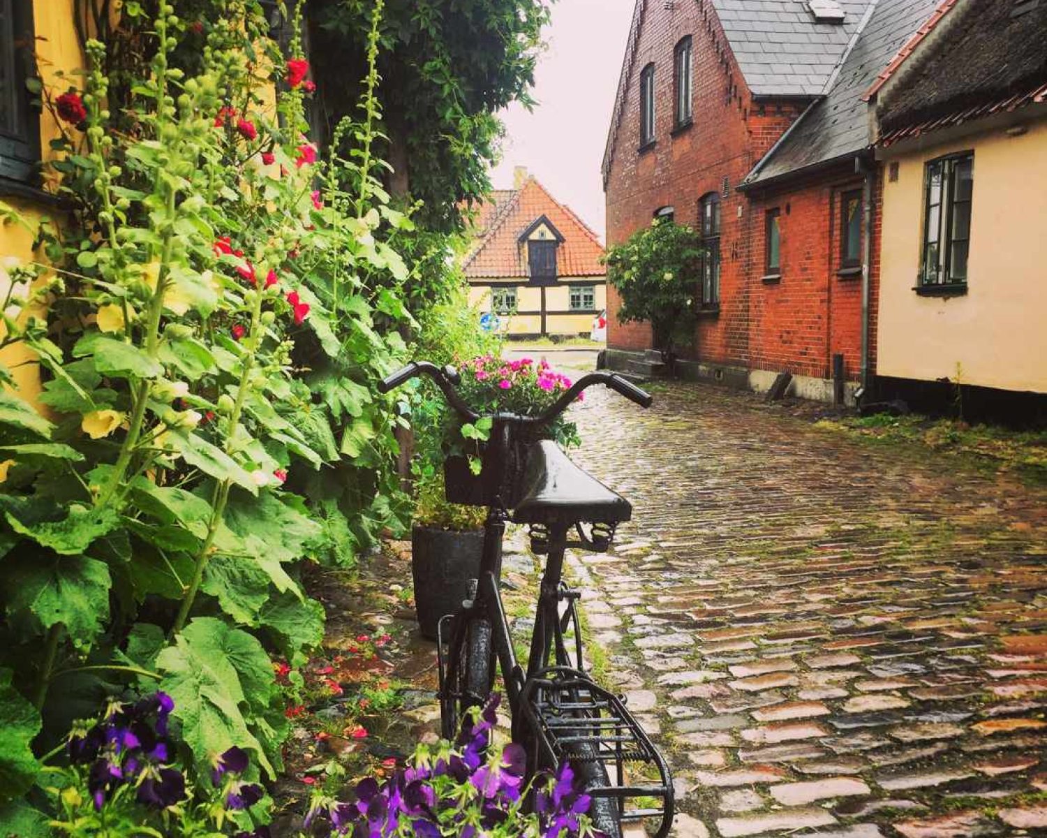 Calles típicas del pueblo costero de Dragør con una bici aparcada